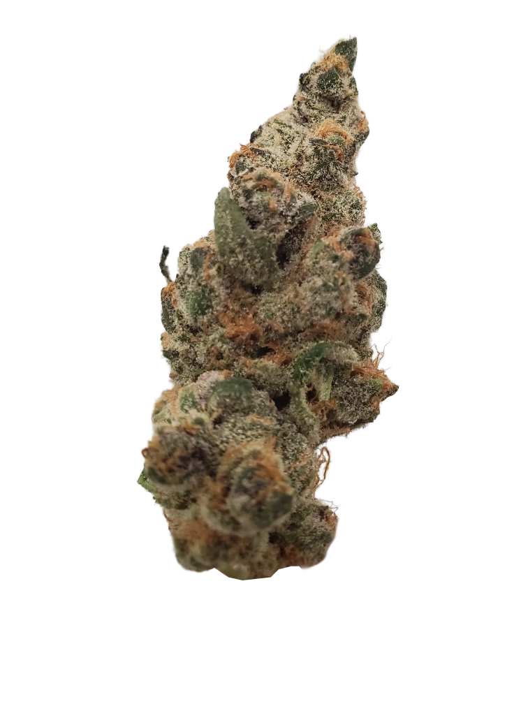 A close-up of Tom & Berry cannabis flower showing dense trichome coverage